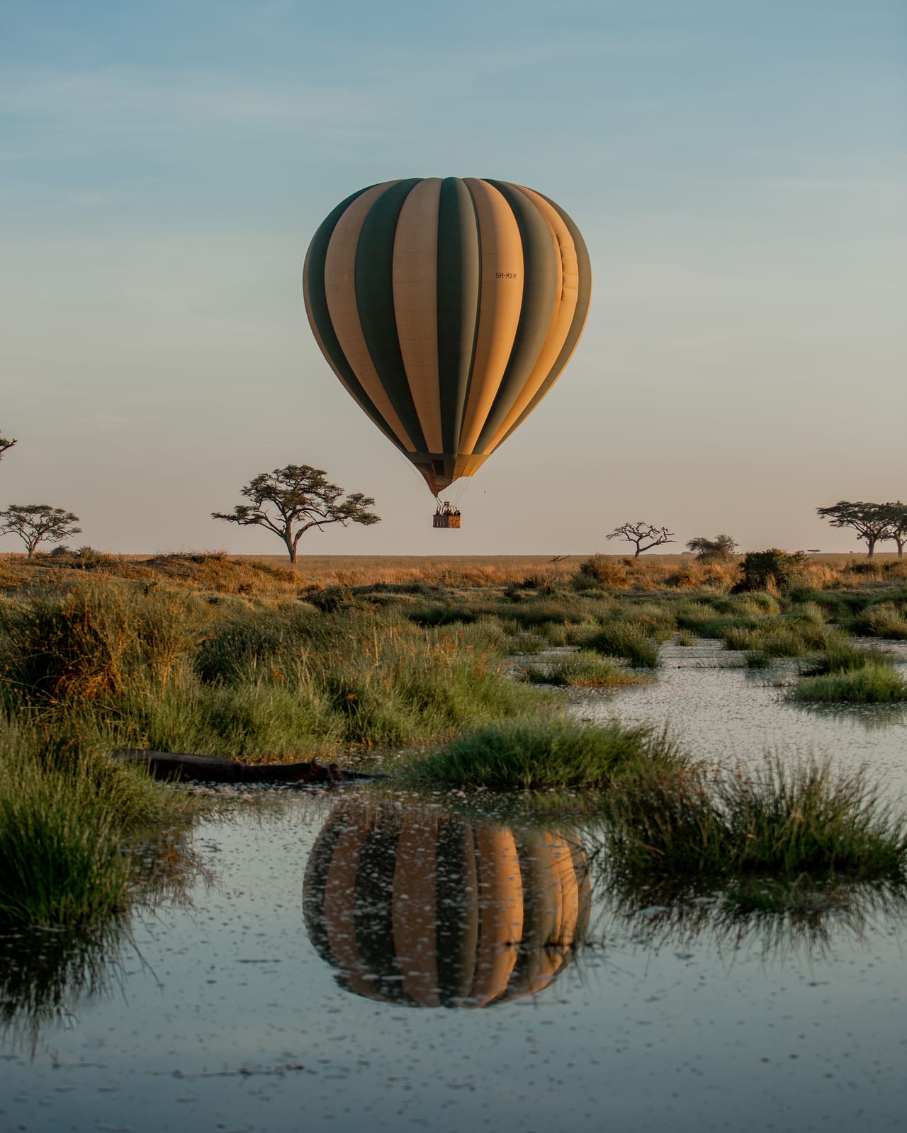 A balloon reflected in still water at dawn