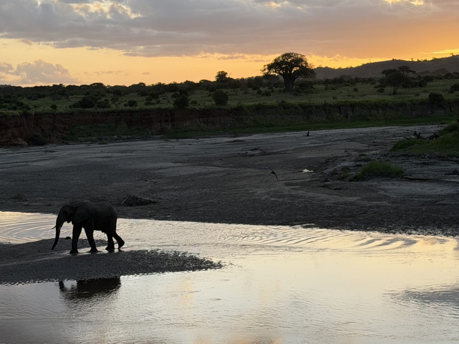 An elephant crossing a riverbed at sunset