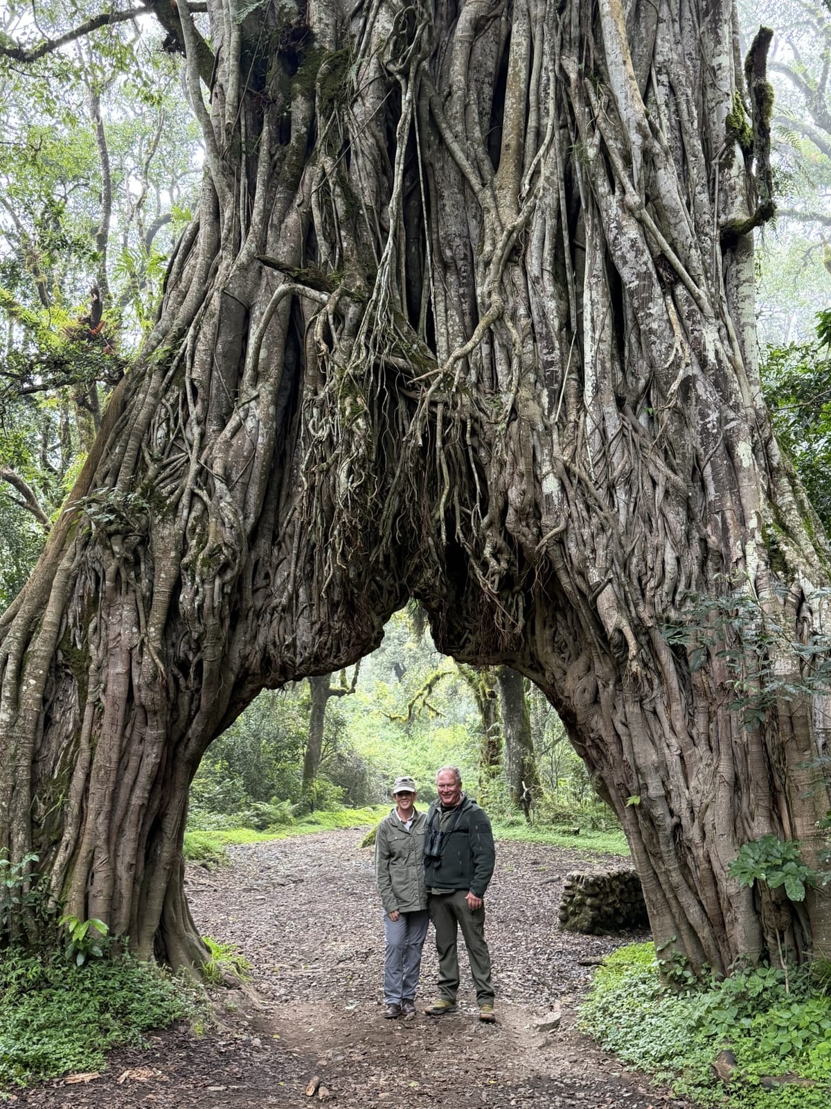 Two travelers under the giant fig tree arch in Arusha National Park