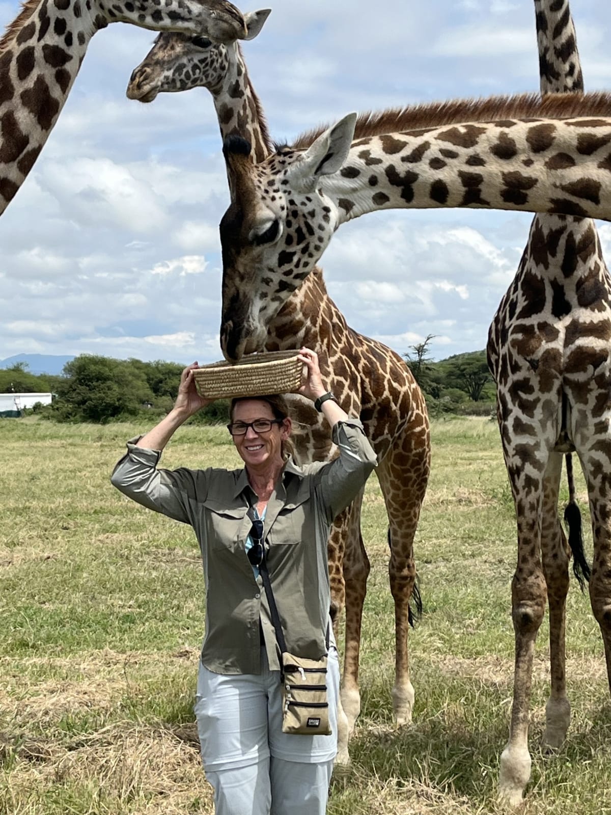 Nancy surrounded by curious giraffes