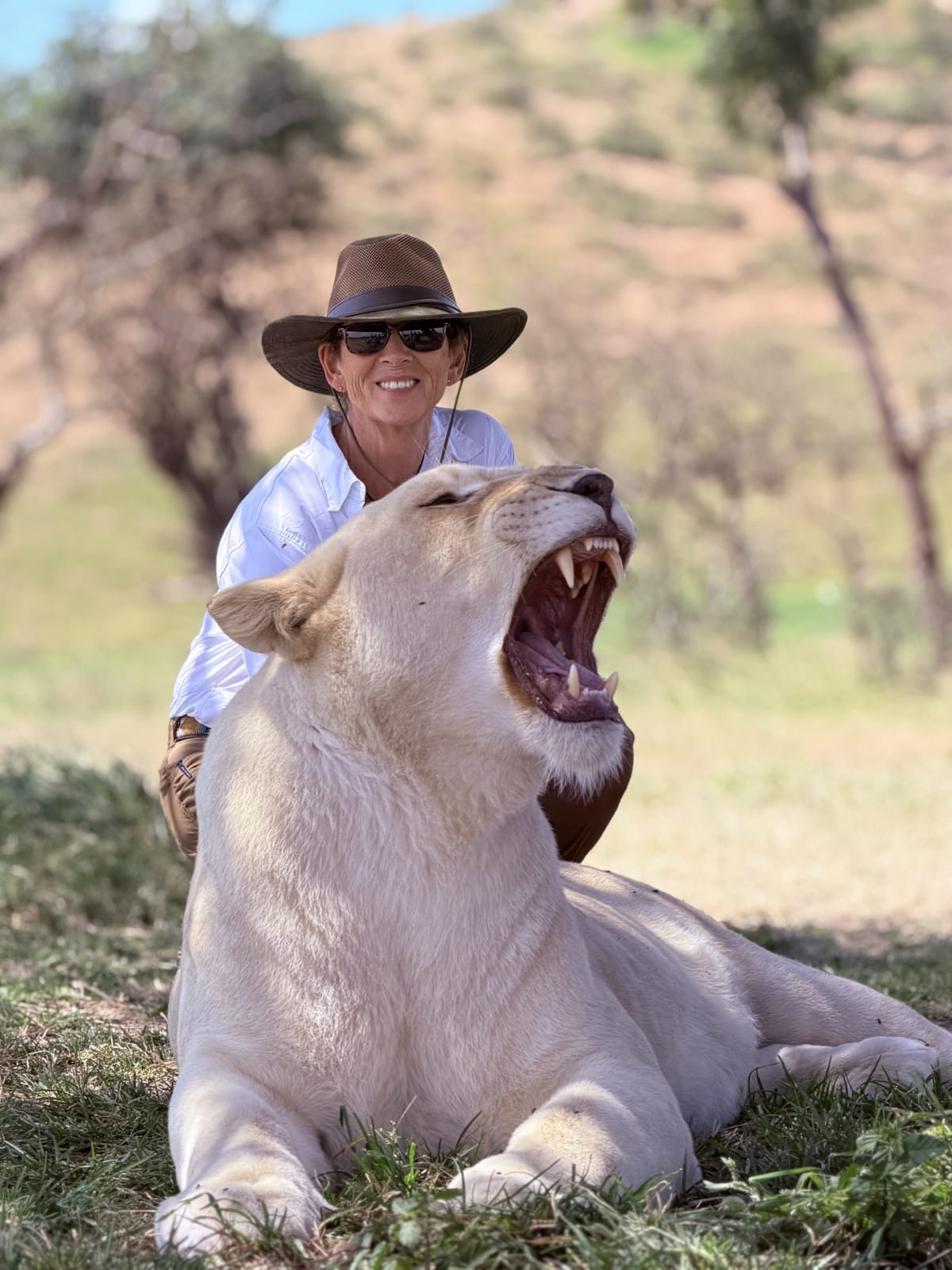 Nancy kneeling beside a roaring white lion