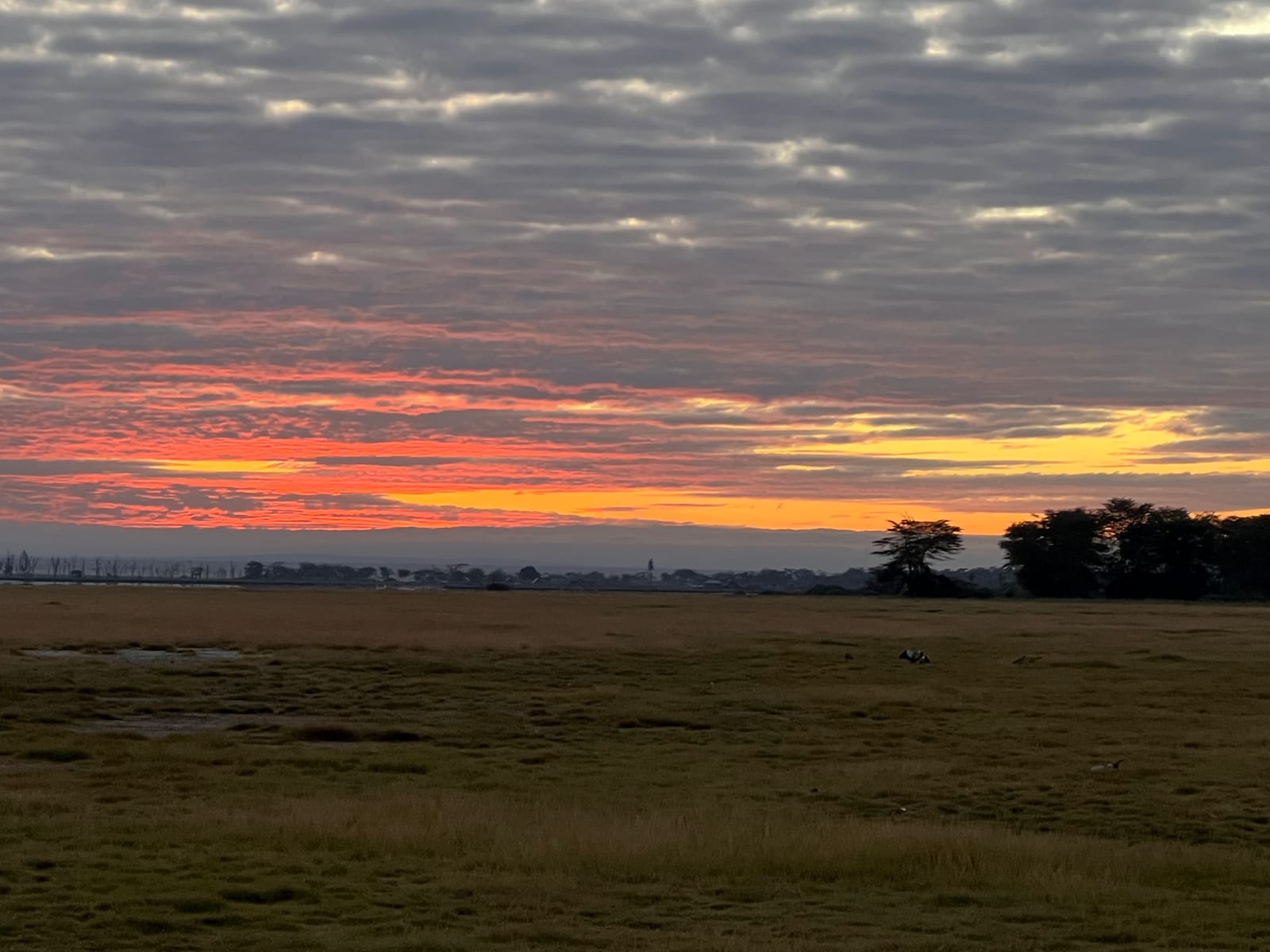 Sunrise breaking over the open plains