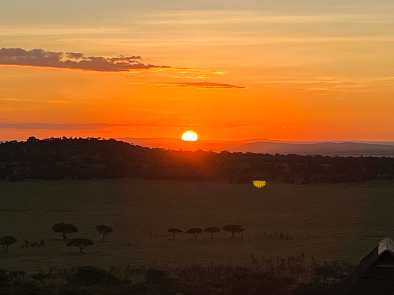 The sun setting over the savanna